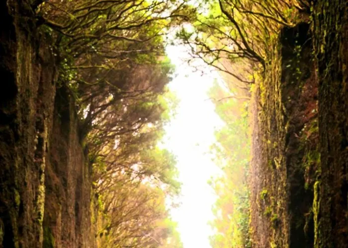 Canela Tenerife Apartamento *