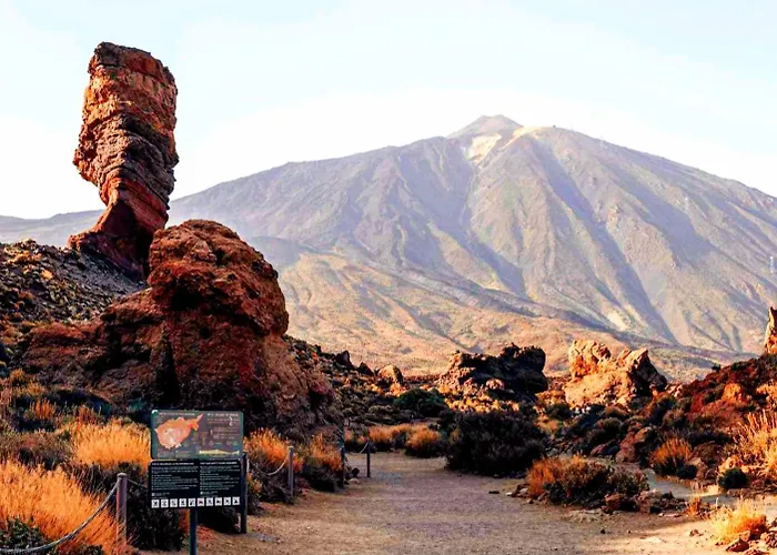 Canela Tenerife * Puertito de Guimar