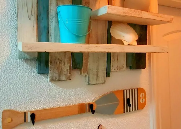 Canela Tenerife Puertito de Guimar