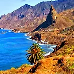 Canela Tenerife