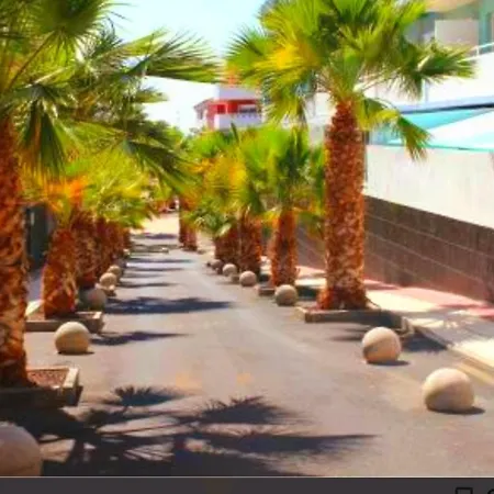 Canela Tenerife