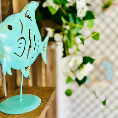 Canela Tenerife * Puertito de Guimar