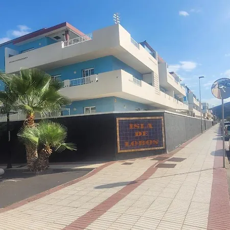 Canela Tenerife Puertito de Guimar