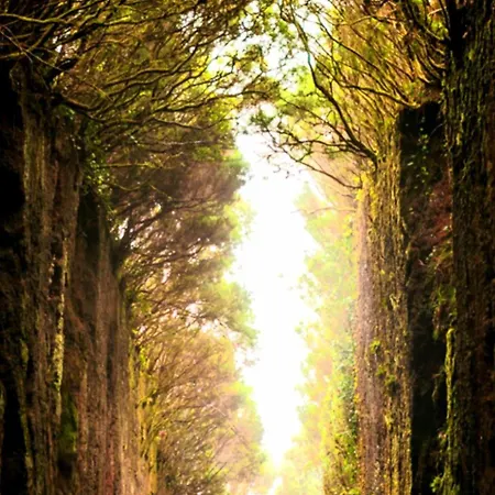 Canela Tenerife Apartamento *